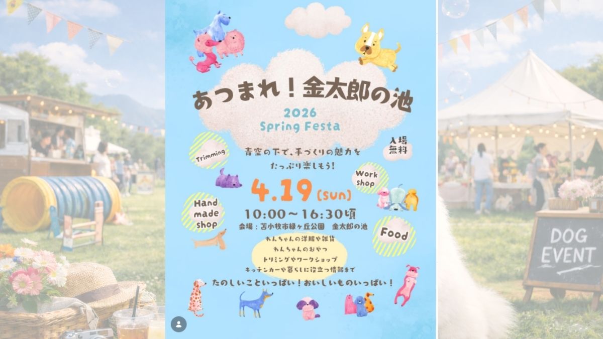 あつまれ！金太郎の池 2026 Spring Festa のサムネイル