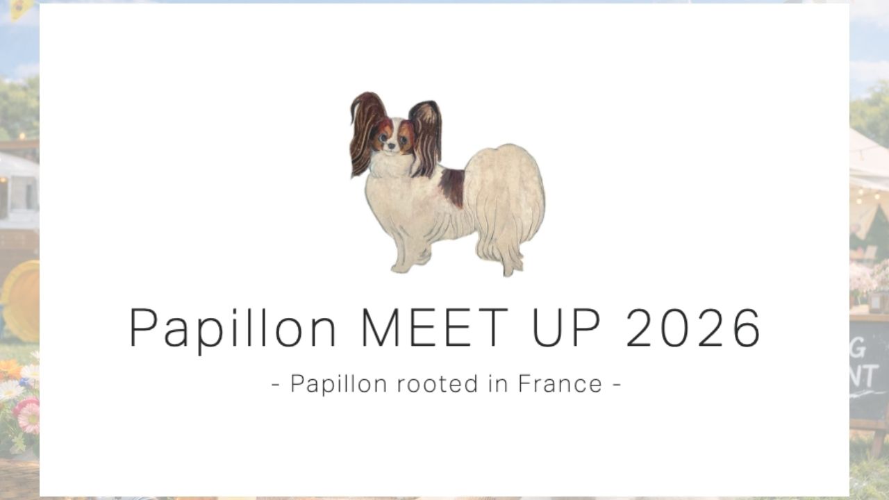 Papillon MEET UP 2026 のサムネイル