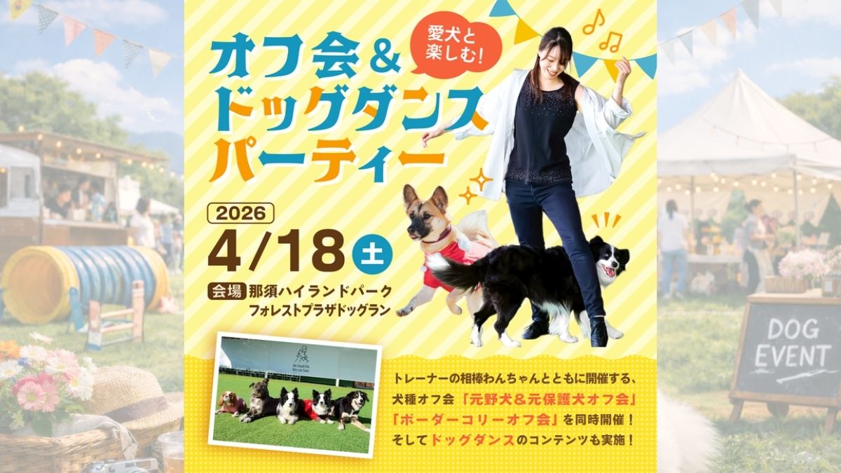愛犬と楽しむ！オフ会＆ドッグダンスパーティー のサムネイル