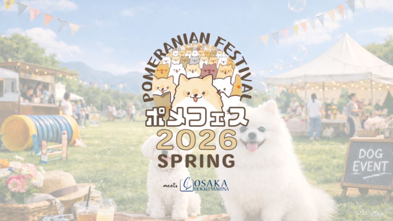 ポメラニアンフェスティバル 2026 SPRING meets 大阪北港マリーナ のサムネイル