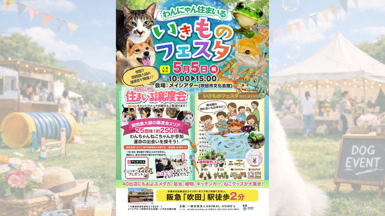 わんにゃん住まいる譲渡会&いきものフェスタ のサムネイル