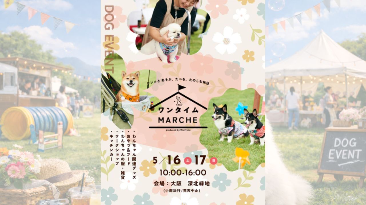第6回ワンタイムマルシェ in 大阪 のサムネイル