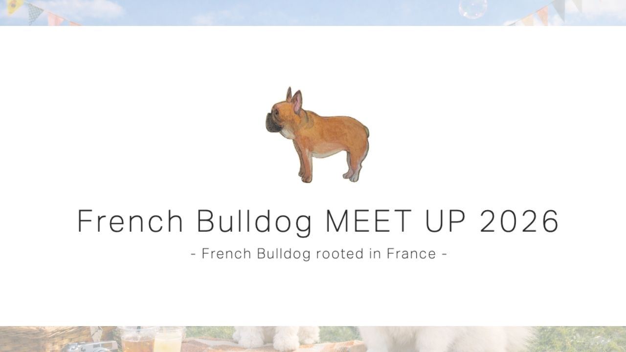 French Bulldog MEET UP 2026 のサムネイル