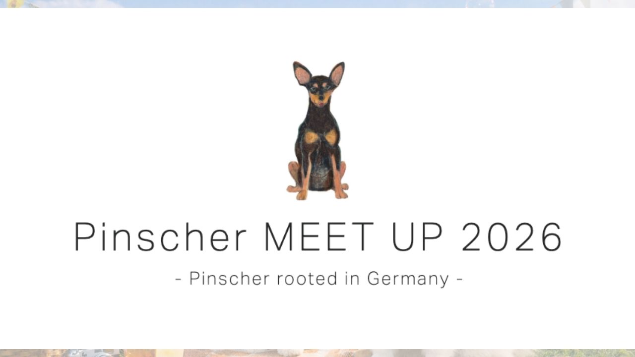 Pinscher MEET UP 2026 のサムネイル