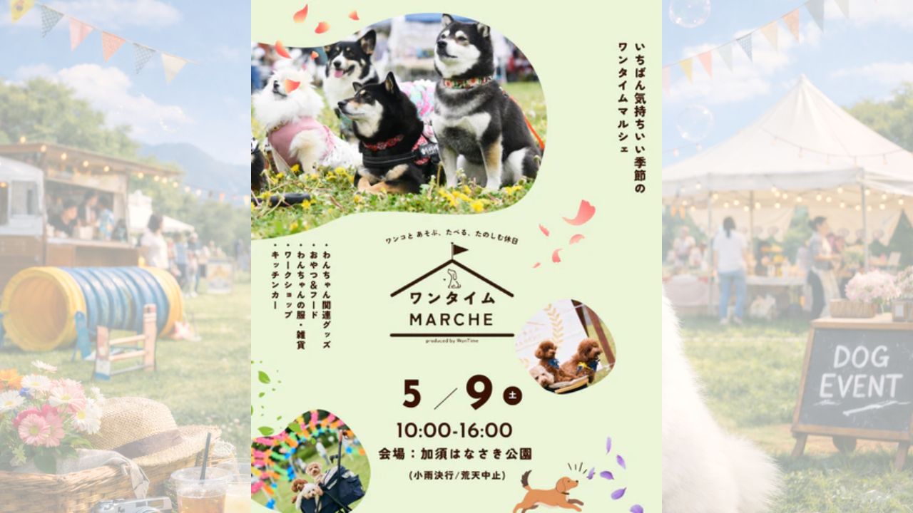 第19回ワンタイムマルシェ@加須はなさき公園 のサムネイル