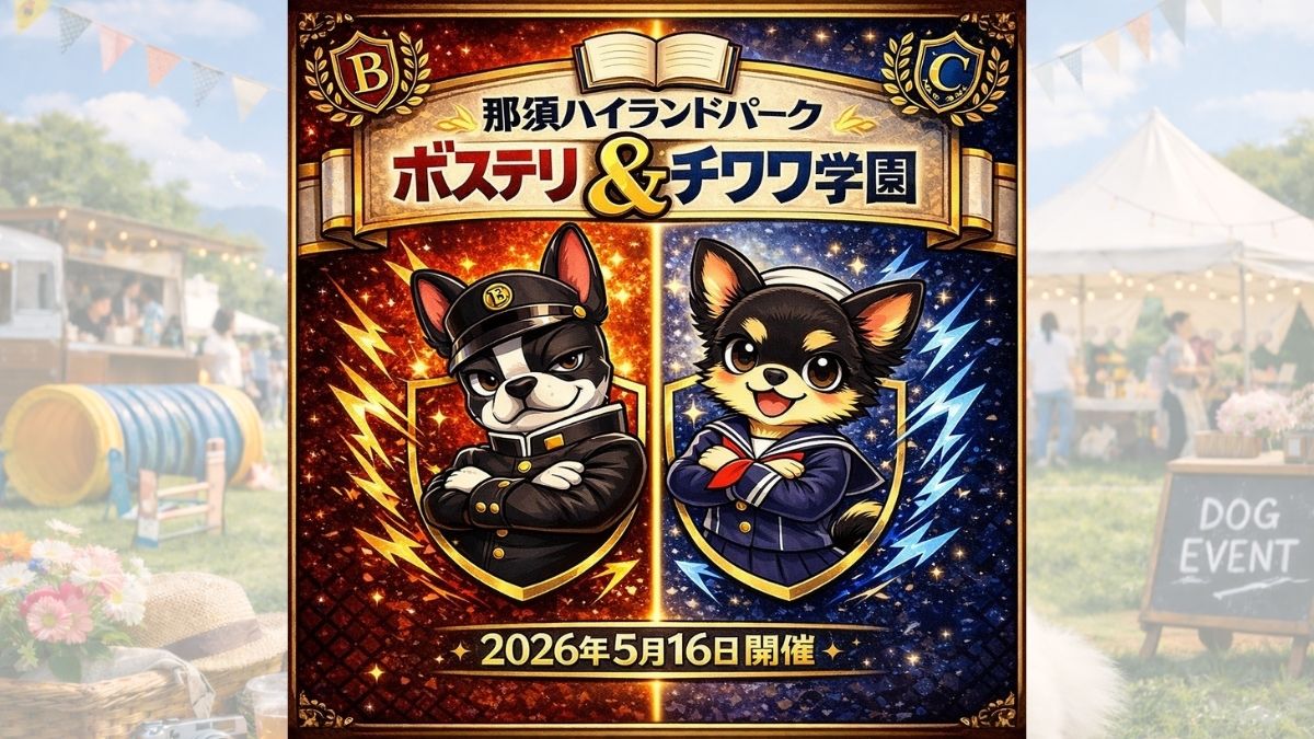 ボステリ＆チワワ学園 のサムネイル