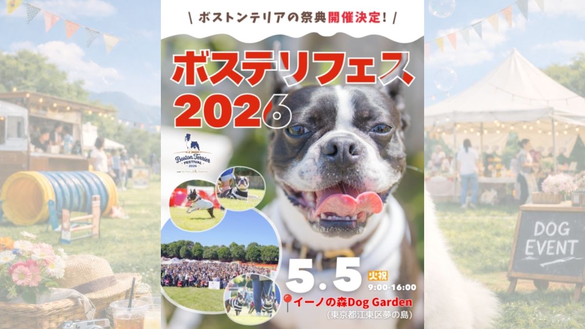 ボストンテリアフェスティバル 2026 meets イーノの森Dog Garden のサムネイル