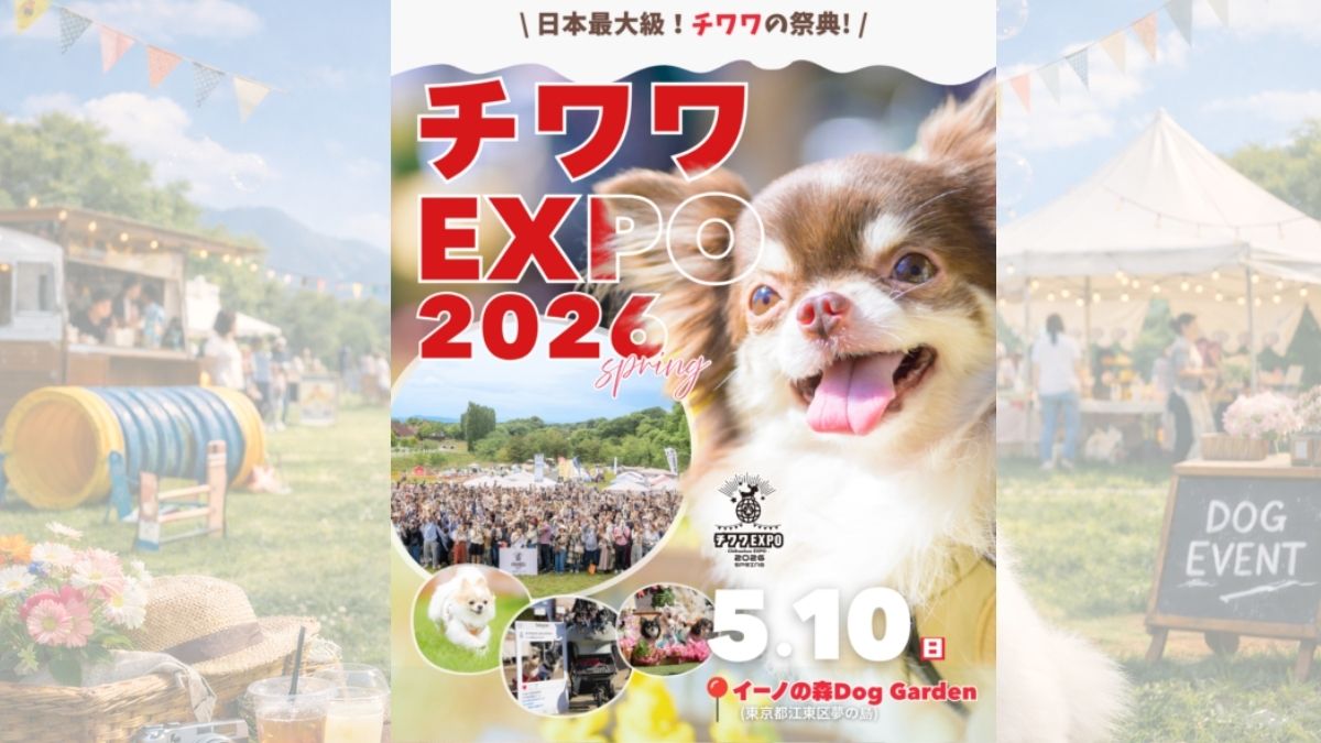 チワワEXPO 2026 SPRING のサムネイル
