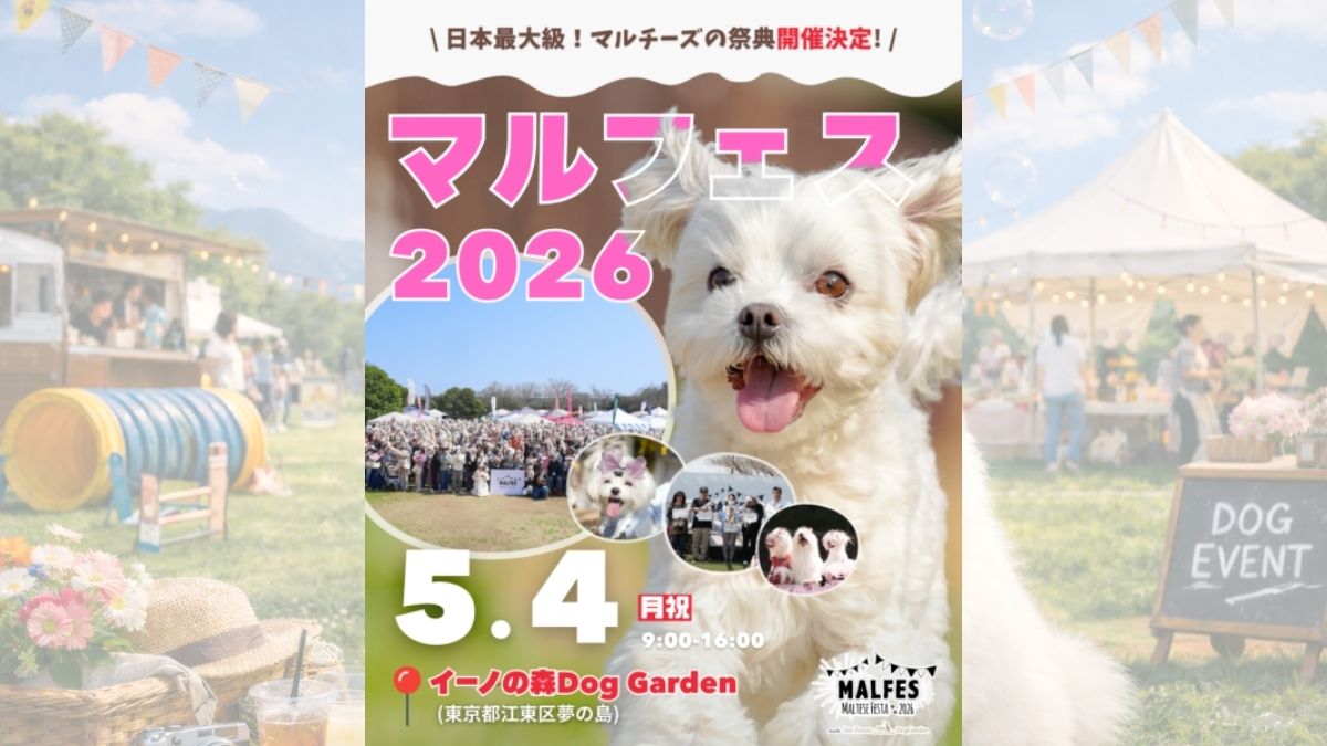 マルフェス 2026 meets イーノの森Dog Garden のサムネイル