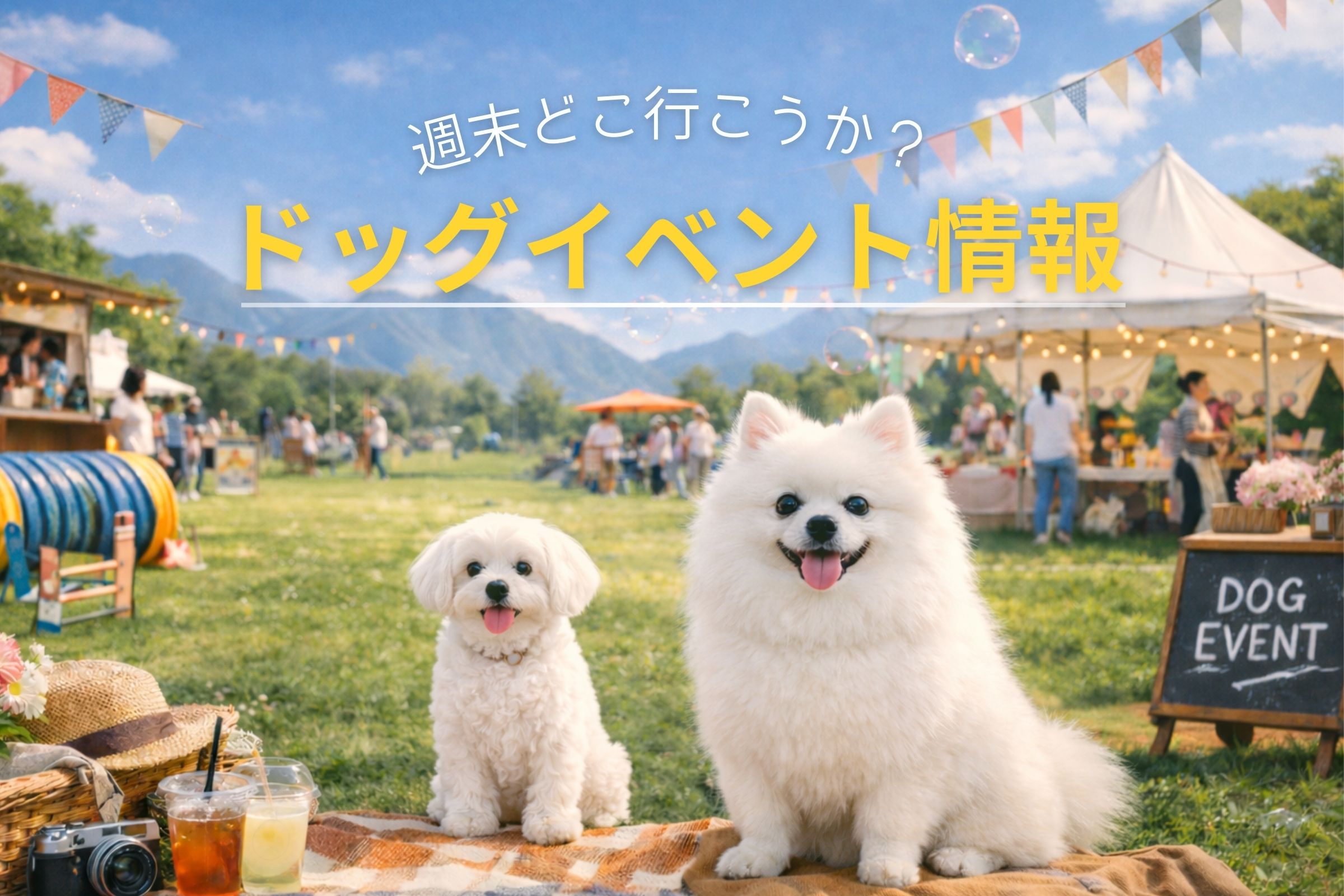 犬イベントのイメージ