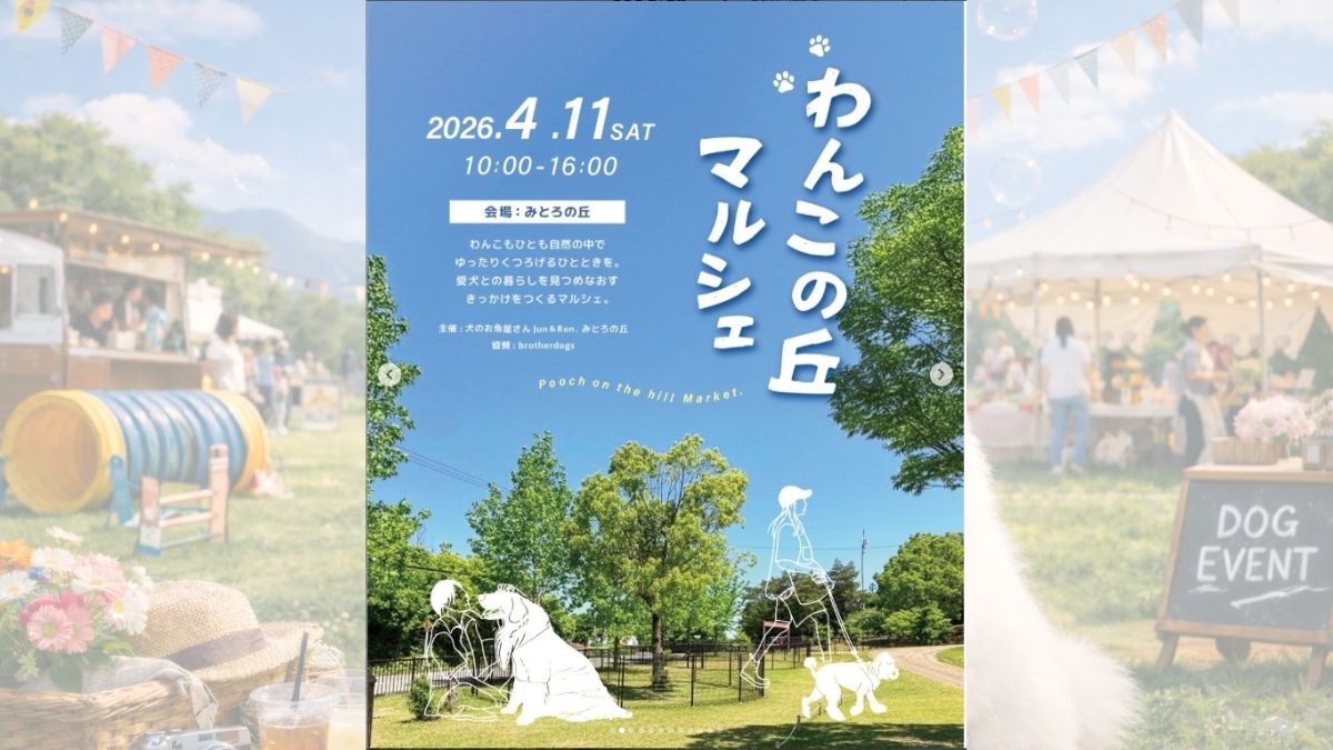 【兵庫県】みとろの丘 ドッグエリア わんこの丘マルシェ