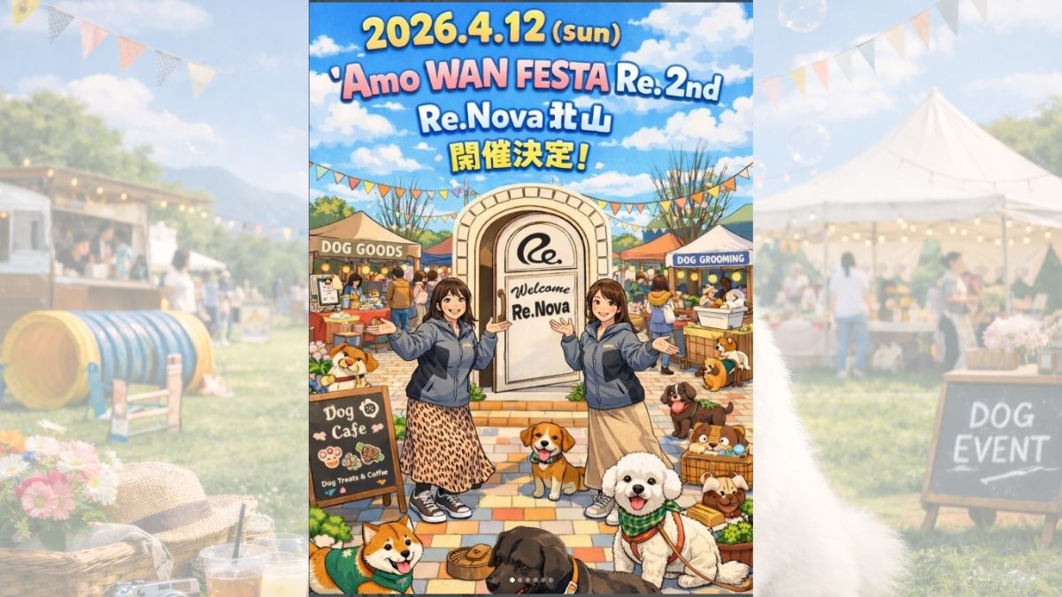 【京都府】Re.nova北山 Amo WAN FESTA Re.2nd