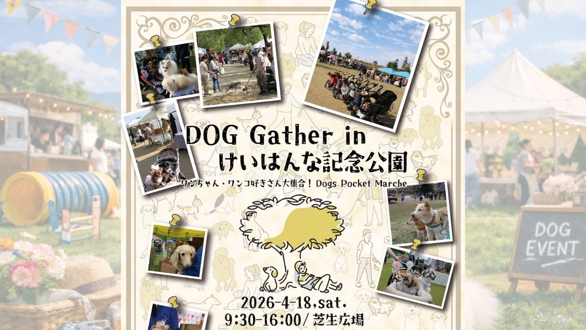 【京都府】ポケットマルシェ ドッグギャザー 2026-春