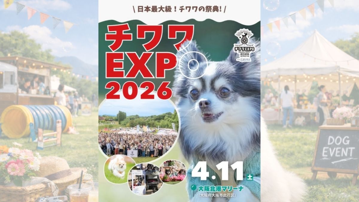 【大阪府】大阪北港マリーナ チワワEXPO 2026 SPRING meets 大阪北港マリーナ