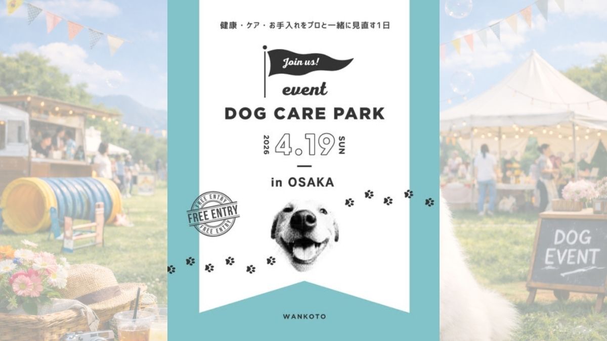 【大阪府】WHATAWON DOG CARE PARK in 大阪