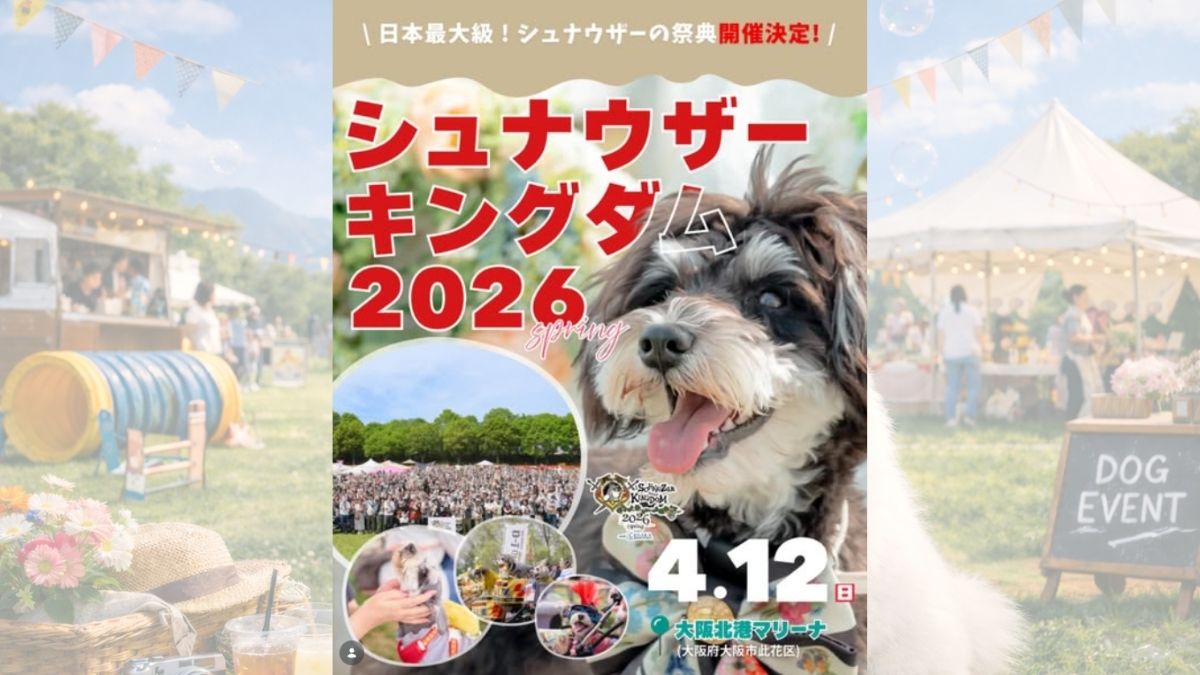 【大阪府】大阪北港マリーナ シュナウザーキングダム 2026 SPRING meets 大阪北港マリーナ