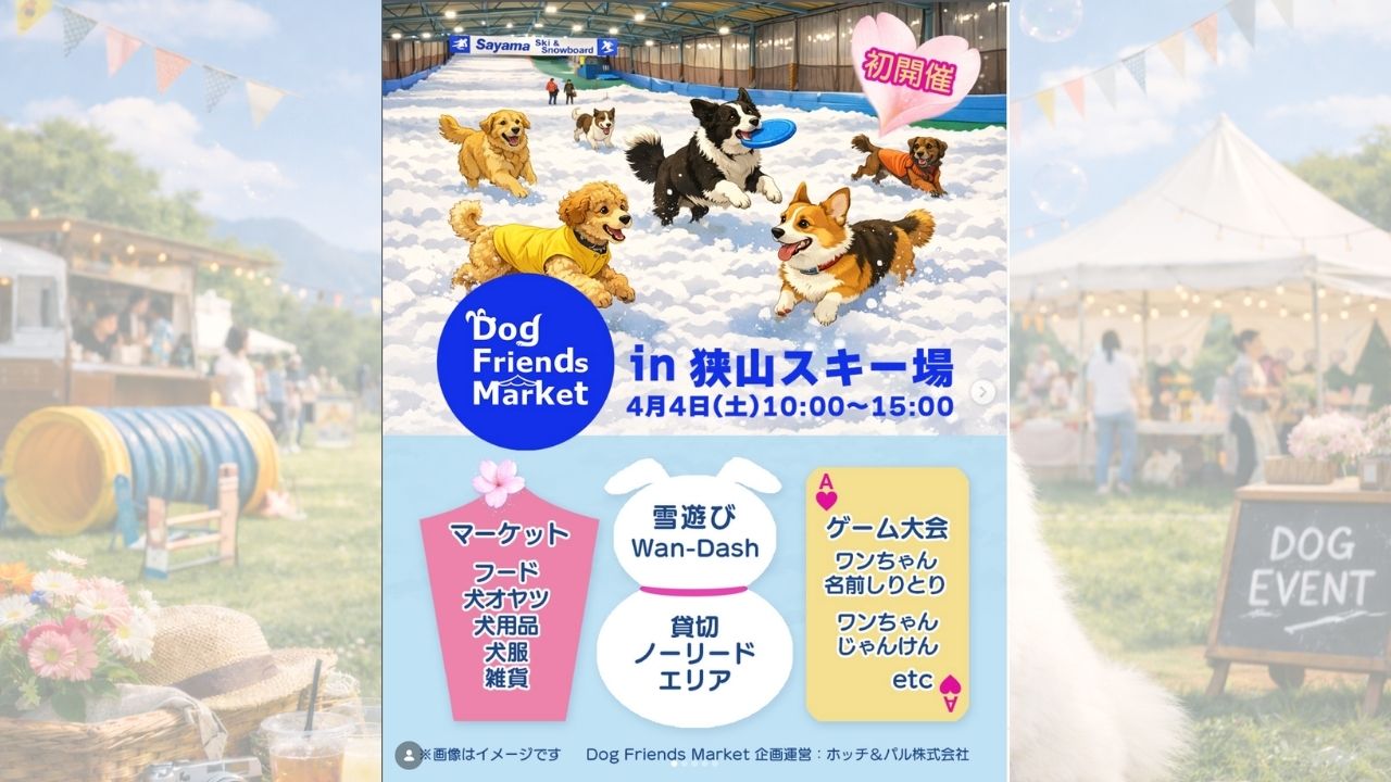 【所沢市】狭山スキー場 Dog Friends Market in 狭山スキー場